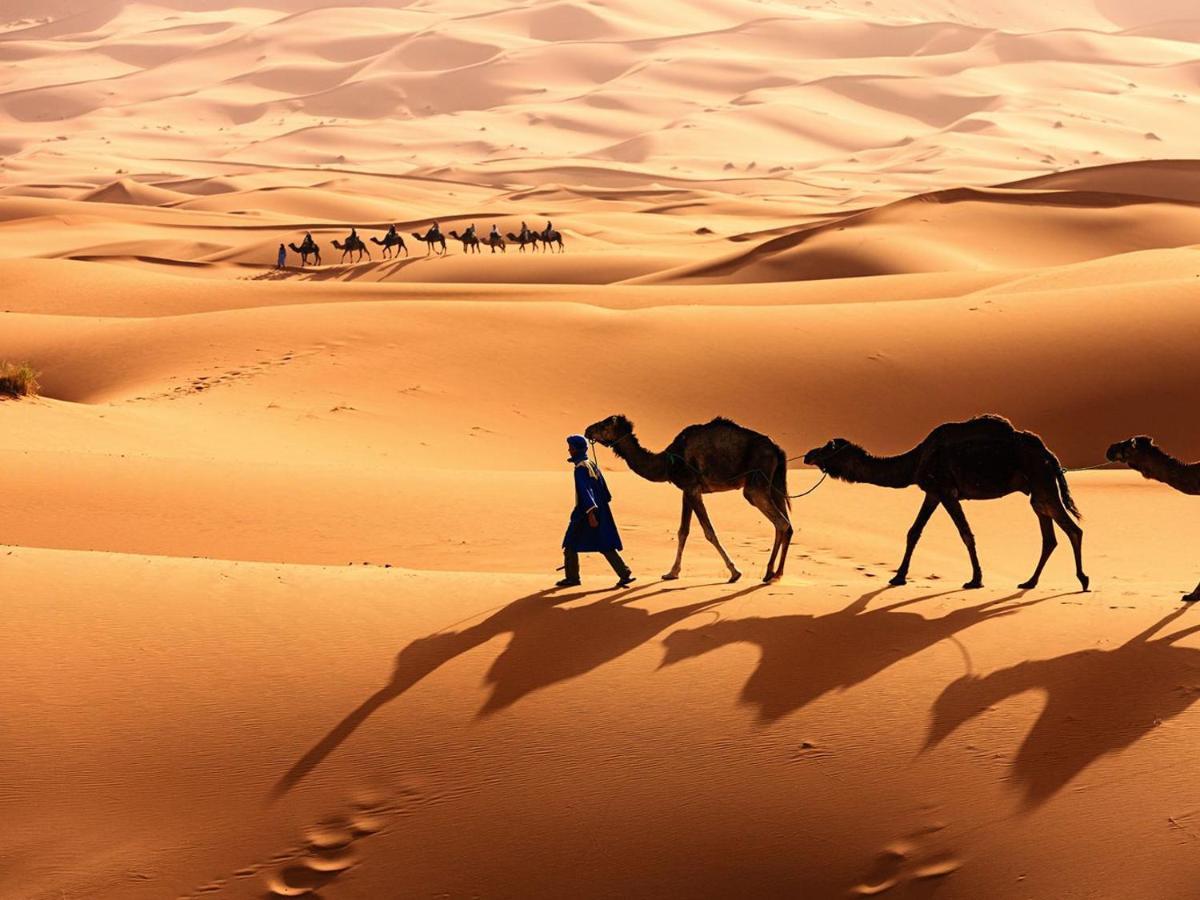 Merzouga Bohemian Camp المظهر الخارجي الصورة